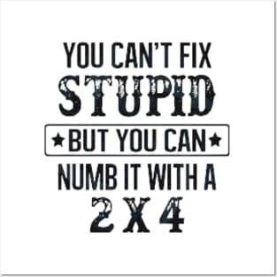 You Can't Fix Stupid But You Can Numb It With A 2x4 Posters and Art